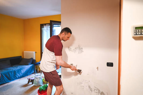 Professional Mold Removal in Helena West Side, MT