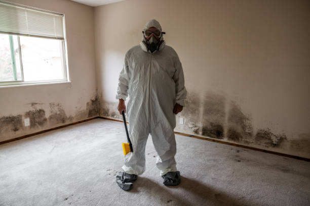 Best Residential Mold Removal  in Helena West Side, MT